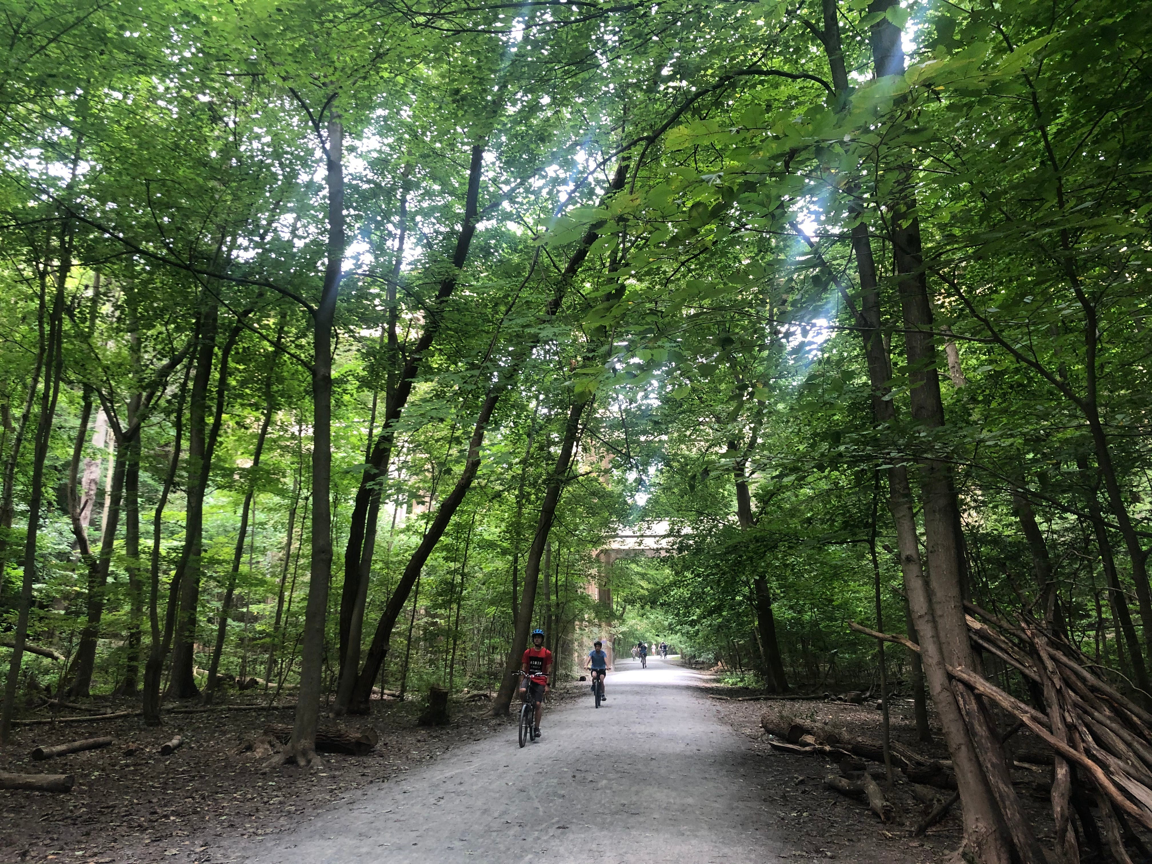Hiking Beltline Trail